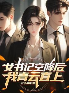 女书记空降后，我青云直上江辰苏晴小说阅读