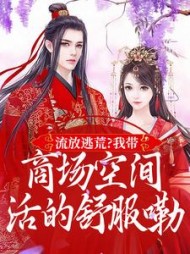 流放逃荒？我带商场空间活的舒服嘞阅读