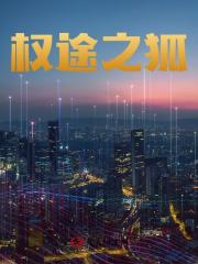 权途之狐沈荡阅读