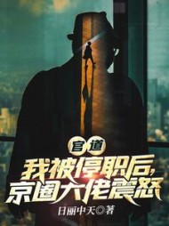 官道：我被停职后，京圈大佬震怒