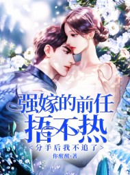 强嫁的前任捂不热，分手后我不追了阅读