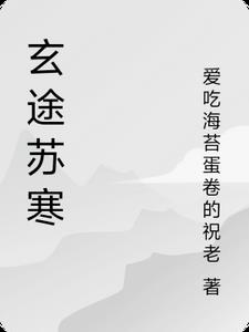 玄途苏寒小说阅读