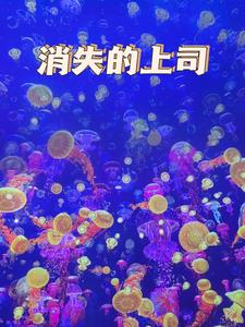 消失的上司+后续