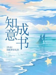 知意成书+后续