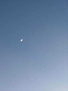 云光(灿灿的小气球)阅读