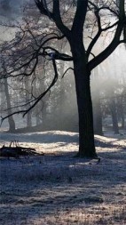 那年光棍节我失去了第一个她(水脉)阅读