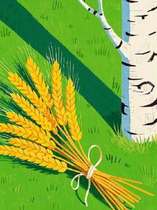 山上的人(梁佳辉)阅读