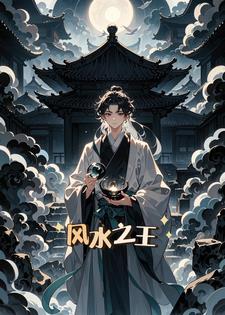 风水之王(旧爱书写)阅读