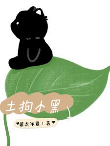 土狗小黑后续+番外