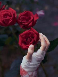 我喝下了他亲手下的毒(哭成小包子)阅读