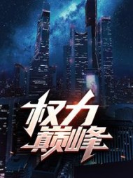 权力巅峰小说阅读