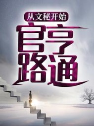 从文秘开始，官路亨通阅读