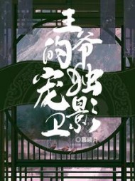 王爷的独宠影卫萧锦笙鸿枫