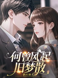 何曾风起旧梦散(饼子)小说阅读