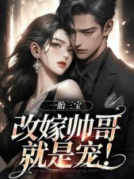一胎三宝改嫁帅哥就是宠(林清月)