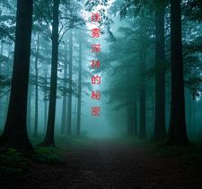 迷雾深林的秘密林恩小说阅读