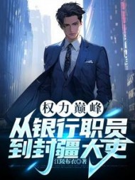 权力巅峰：从银行职员到封疆大吏(江陵布衣)最新小说阅读
