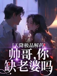 天降极品解药:帅哥,你缺老婆吗阅读