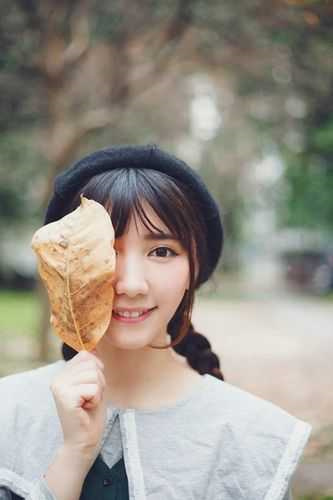 《择木而栖》小说阅读