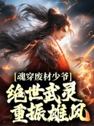 魂穿废材少爷绝世武灵重振雄风元枫