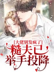 大佬别发疯了！糙夫已举手投降阅读