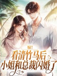 惊!看清竹马后小姐和总裁闪婚了阅读