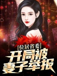 位居省委，开局被妻子举报月下火最新阅读