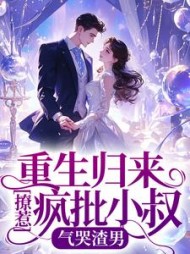 重生归来撩惹疯批小叔，气哭渣男小说阅读