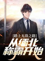 踏上无敌之路从缅北称霸开始林义