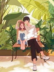 难以奢求的温柔相待顾倾城沈从安小说阅读