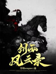 剑雨风云录
