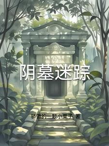 阴墓迷踪主人公皮皮阅读小说阅读