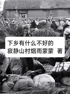 下乡有什么不好的阅读小说阅读