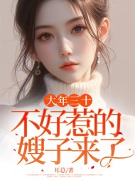 大年三十,不好惹的姐夫来了阅读小说阅读