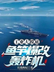工业大摸底鱼竿爆改轰炸机顾宸小说阅读