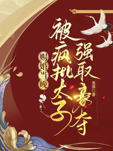 赐婚当晚，被疯批太子强取豪夺小说阅读