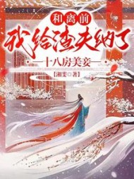 和离前，我给渣夫纳了十八房美妾小说阅读