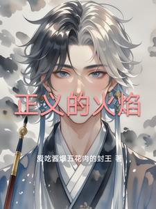 正义的火焰凌风小说阅读