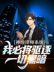 神级律师系统：我必将驱逐一切黑暗小说阅读