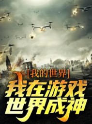 我的世界：我在游戏世界成神杨波小说阅读