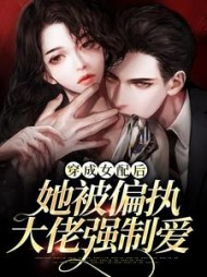 宋乔顾启结局阅读小说阅读