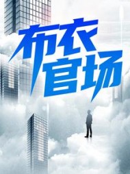 布衣官场小说阅读