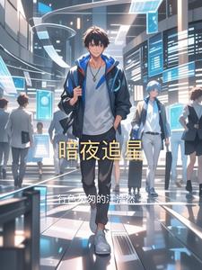 暗夜追星阅读小说阅读