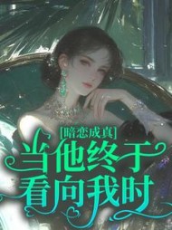 暗恋成真：当他终于看向我时的小说阅读