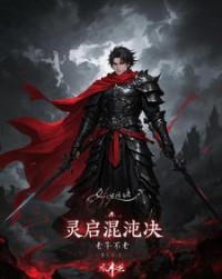 灵启混沌诀晨枫