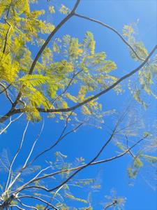 我爱你不如你爱我+后续