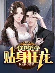 冰山总裁的贴身狂龙阅读小说阅读