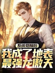 系统觉醒后，我成了地表最强龙傲天阅读小说阅读