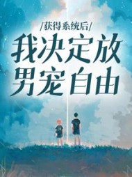 获得系统后，我决定放男宠自由+后续