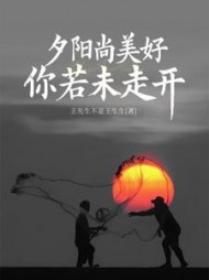 夕阳尚美好你若未走开阅读小说阅读